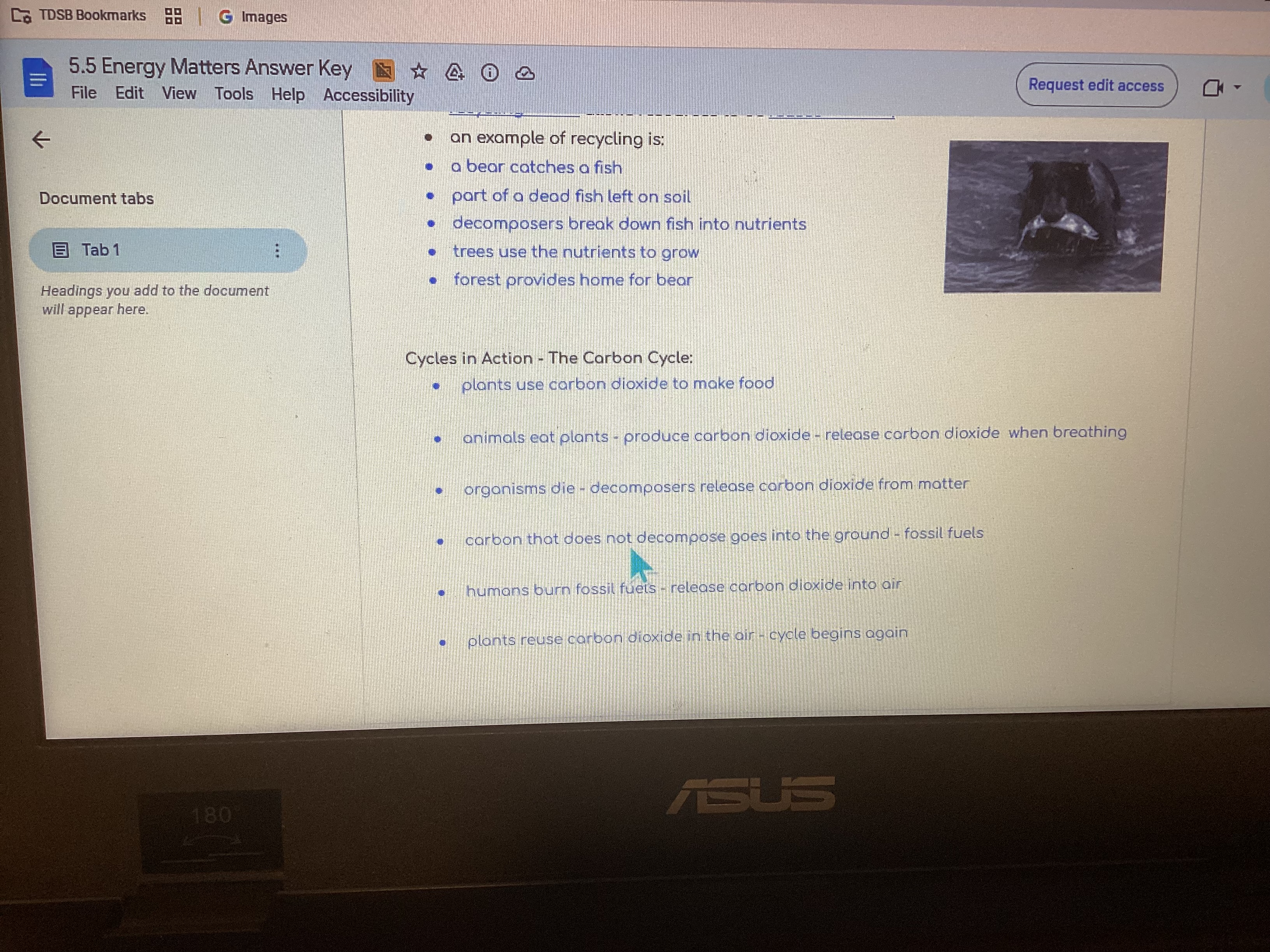 knowt flashcard image