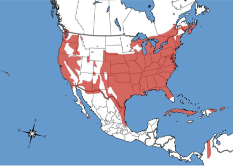 <p>Who’s range map?</p>