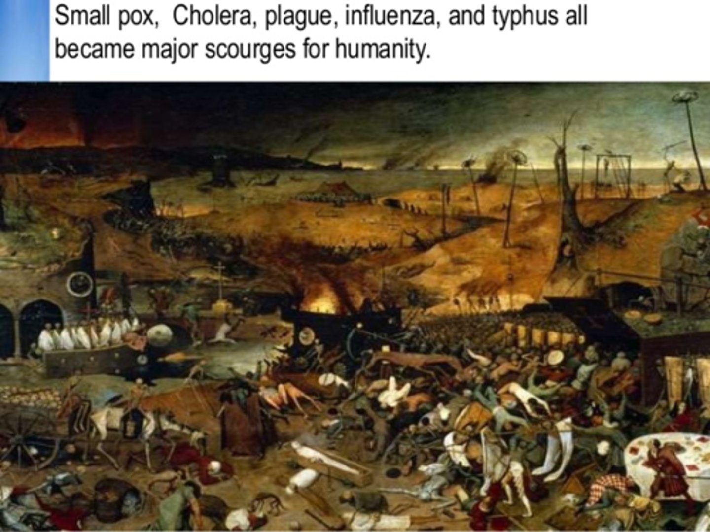 <p>... infectious and parasitic diseases were the principle causes of human deaths<br><br>=&gt; widespread famine</p>