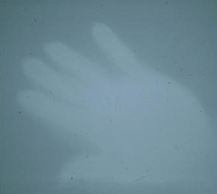 <p>What may have caused this ghost–like image during development?Leakage of light</p>