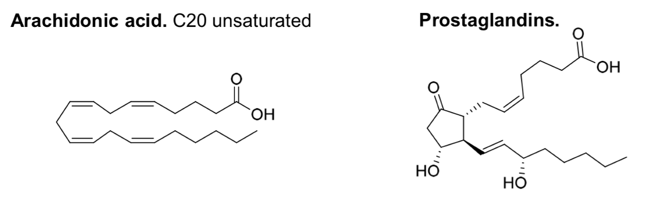 <p><mark data-color="yellow" style="background-color: yellow; color: inherit">Precursors for biosynthesis of important signal molecules</mark> e.g. <strong>arachidonic acid</strong> is a precursor for <strong>prostaglandins</strong></p><ul><li><p>These signalling molecules are <mark data-color="purple" style="background-color: purple; color: inherit">hormones</mark> which control <strong>blood flow</strong> and <strong>smooth muscle contraction</strong></p></li></ul><p></p>