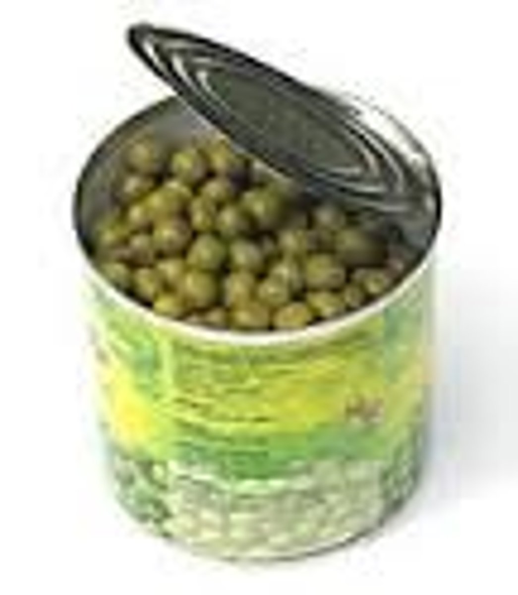 <p>ideologi som vill bevara samhälles traditioner. Vill förändra samhället långsamt.</p>