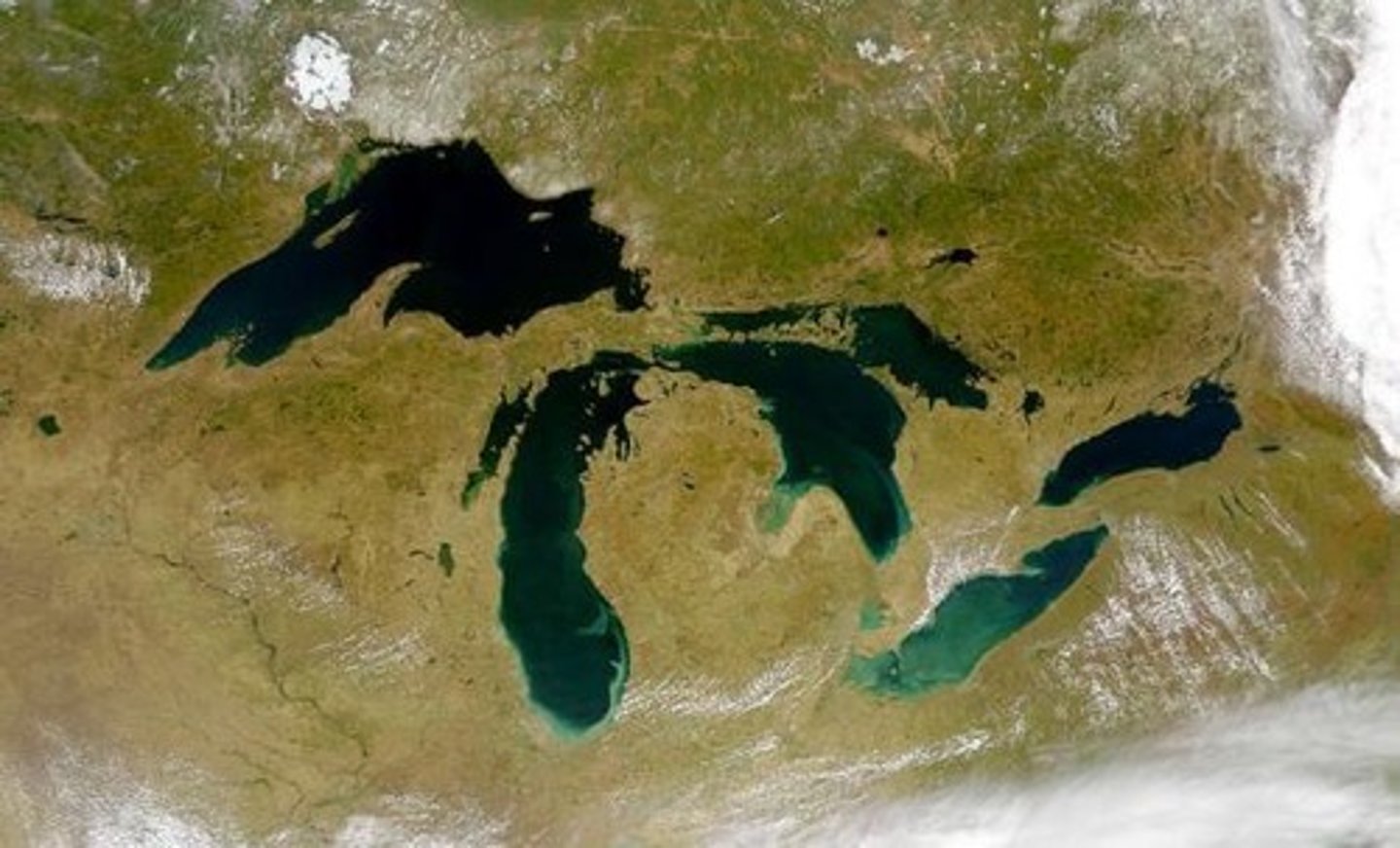 <p>They are affected by algal blooms due to nutrient runoff, impacting water quality and ecosystems.</p>