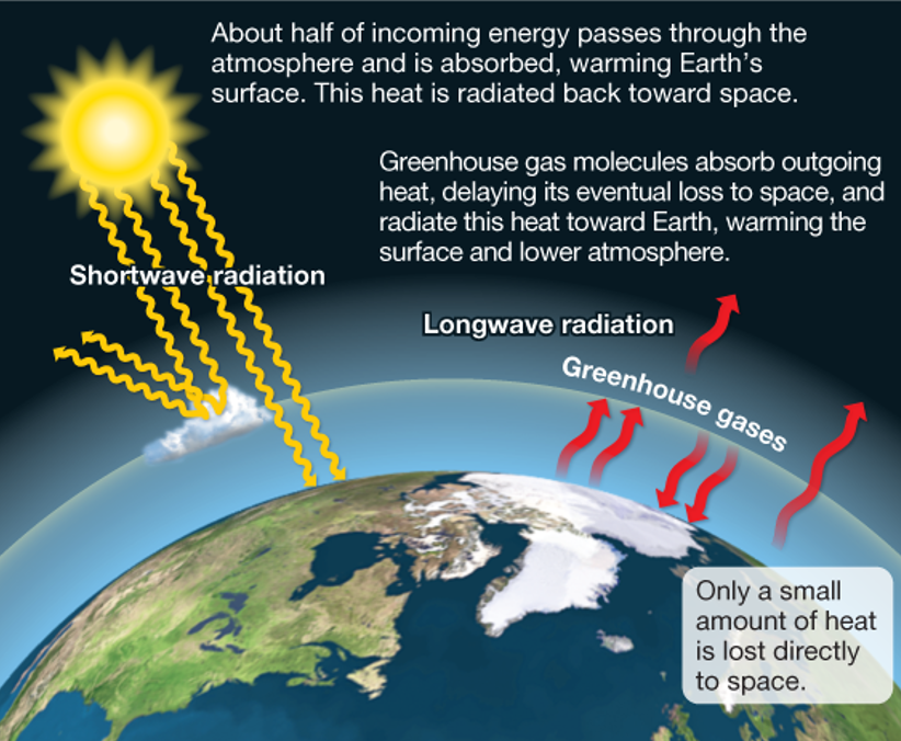 <p>Greenhouse analogy</p>