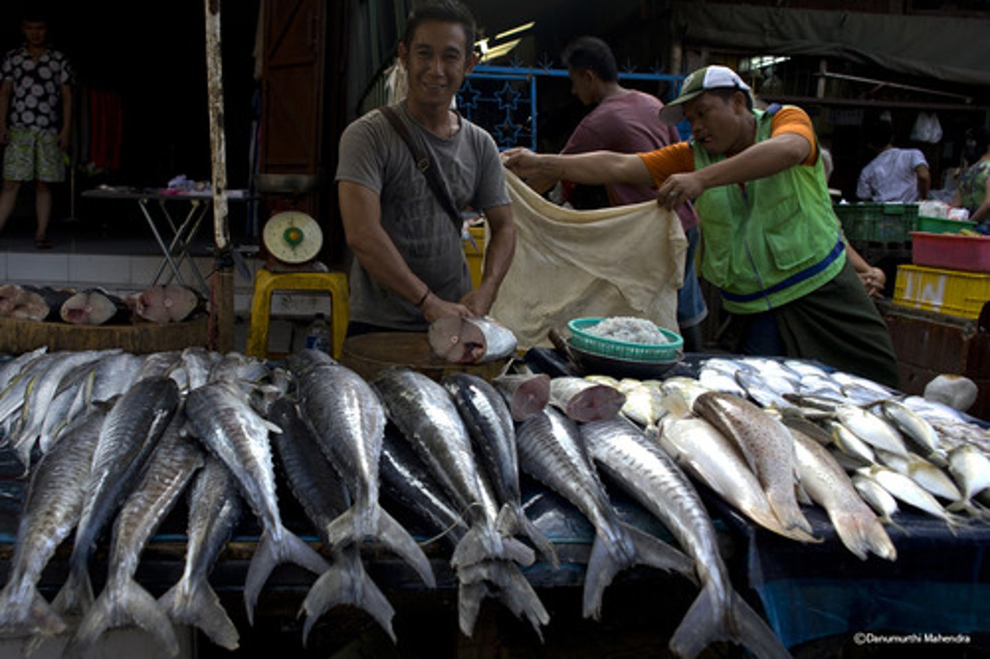 <p>рибний магазин</p>