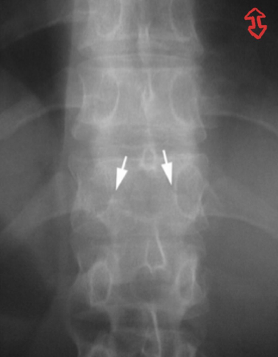 <p>What is the issue?</p>