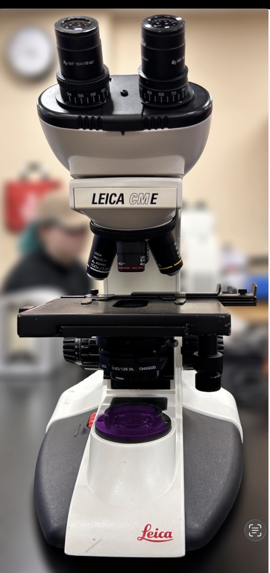 <p>Name the highlighted region.</p><p>Hint: shines light upwards to view image </p>