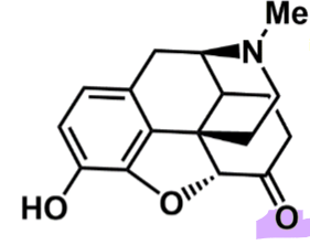 <ul><li><p>ketone versus hydroxy vs morphine</p><ul><li><p>better binding affinity </p></li><li><p>more lipophilic and better oral bioavailability </p></li></ul></li><li><p>alkyl group off the nitrogen required to bind to mu receptors </p><ul><li><p>in vivo converted to NH+ for ionic interaction </p></li></ul></li></ul><p></p>