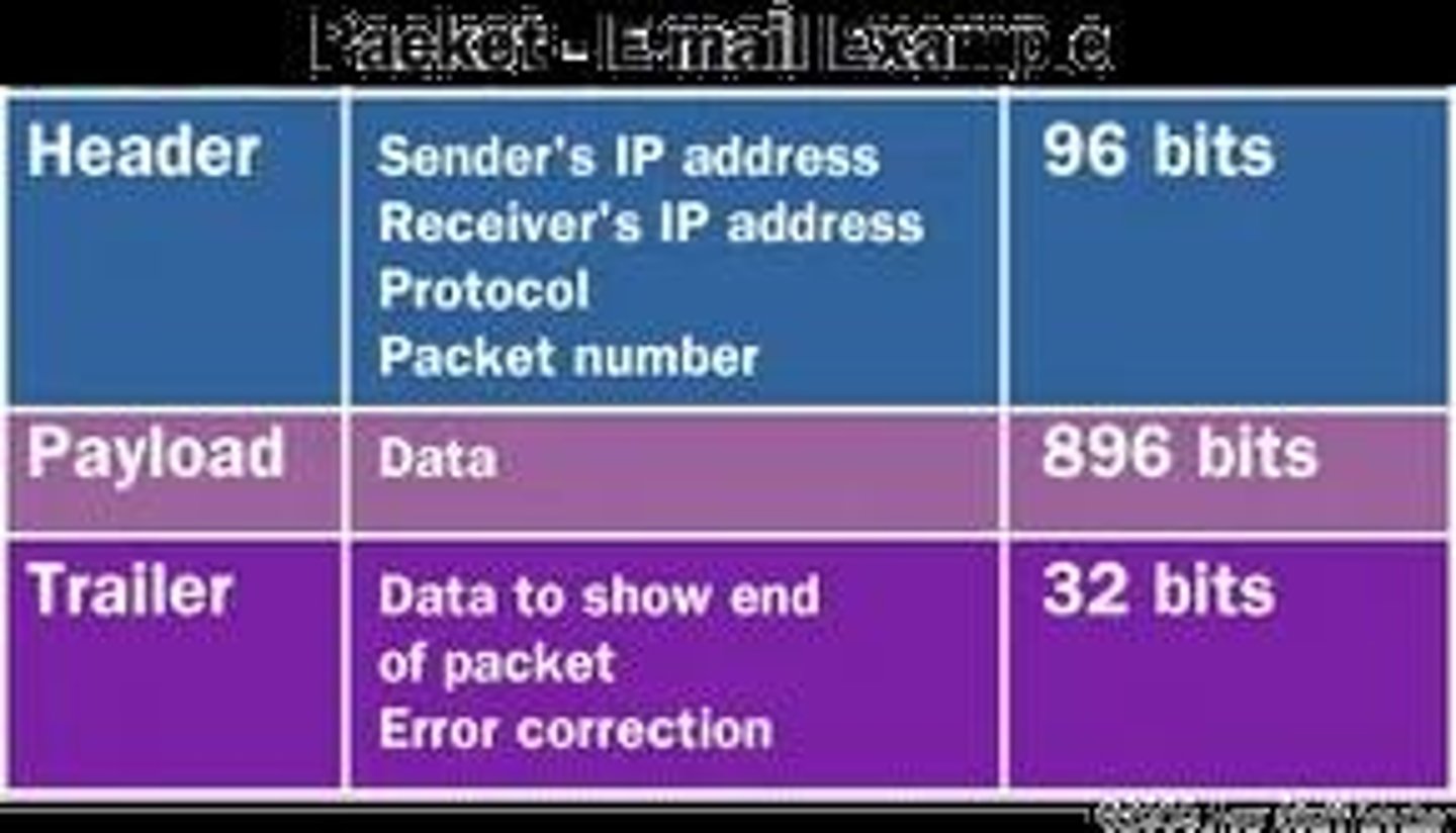<p>Header, Data, and Trailer.</p>