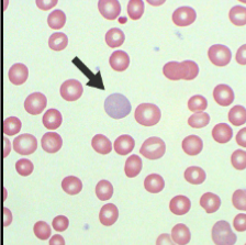 <p>What does this show?</p>