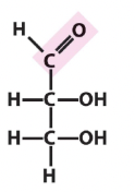 <p>ketose or aldose</p>