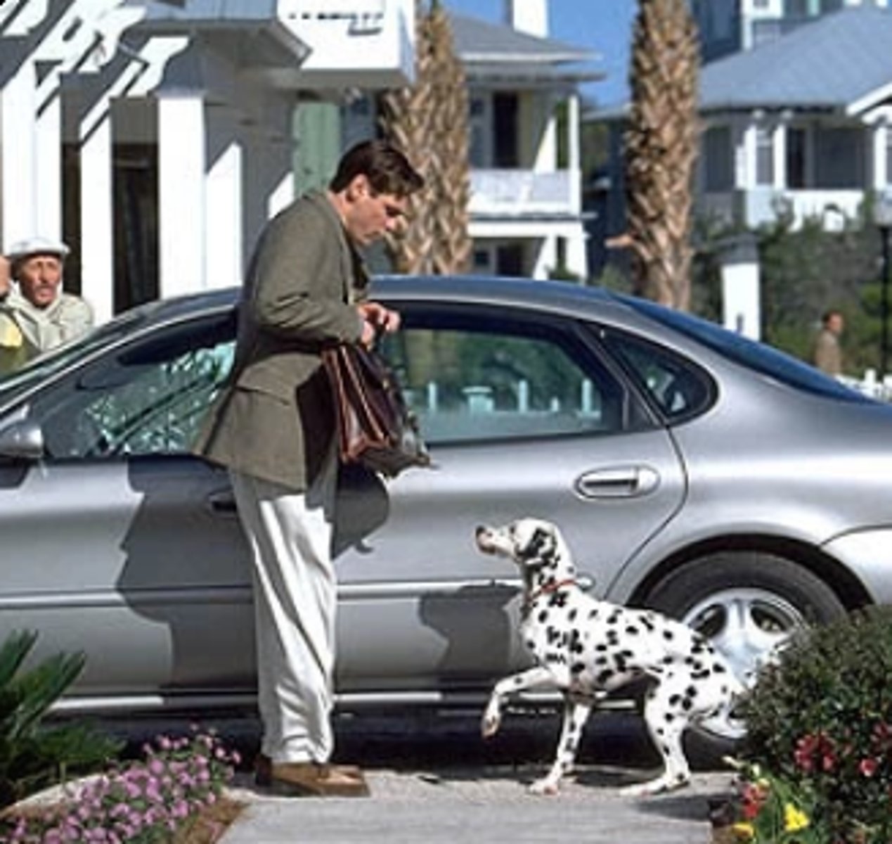 <p>Pluto the Dalmatian is part of his daily routine and then becomes a snarling tracker dog; the woman with the dachshund abandons it when she chases after Kirk; 'Dog Fancy' is a prominent product advertised. Sirius the Dog Star. Young Truman is threatened by a savage guard dog on the bridge, hence Truman's fear of Pluto.</p>