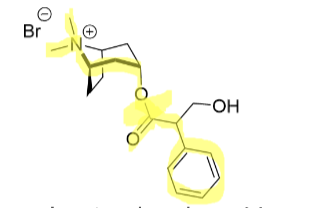 <p>Antagonist</p><p>M1 selective</p><p>Protonated amine means it stays in the lungs</p>