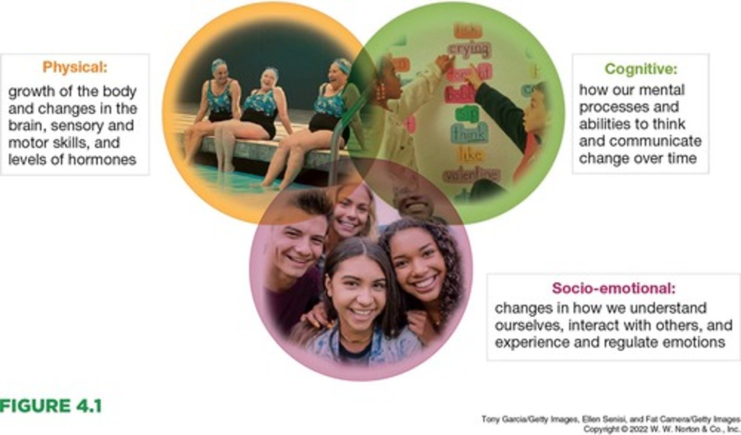 <p>The interaction of genes and environment in influencing mental activity and behavior.</p>