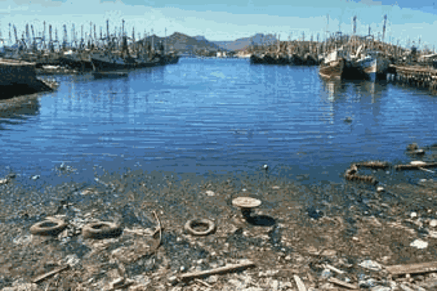 <p>(air; water) pollution</p>