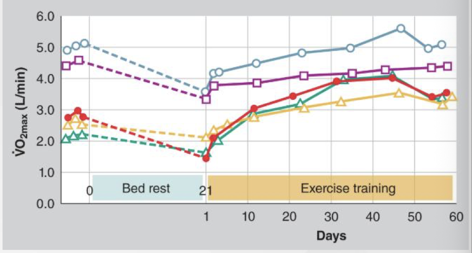 <ul><li><p><span><span>Use it or lose it</span></span></p></li><li><p><span><span>Detraining reverses gains</span></span></p></li></ul><p></p>