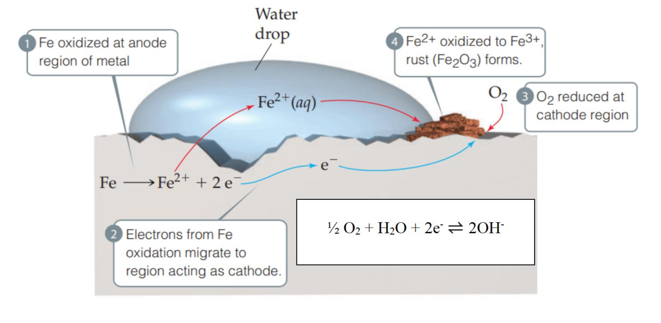 <p>CORROSION OF METALS</p>
