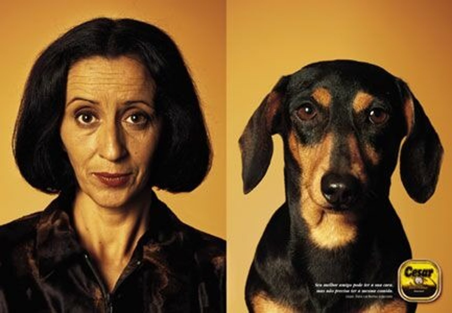 <p>similar, alike, comparable</p>