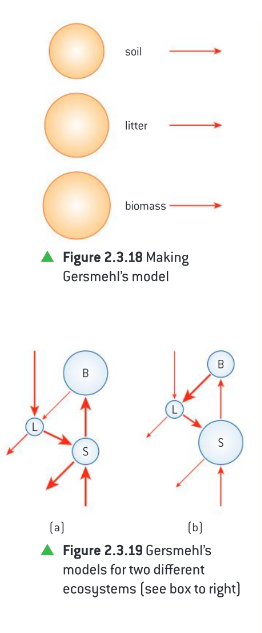 <p>Illustrates how nutrients are transferred/and or cycled between nutrient sinks via environmental inputs and output as represented by the arrow in and around each nutrient sink</p>
