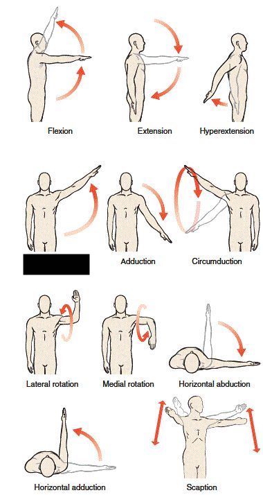 Glenohumeral joint 

what is this?