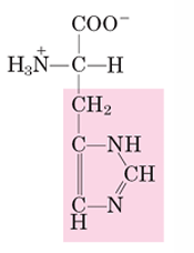 <p>H</p>