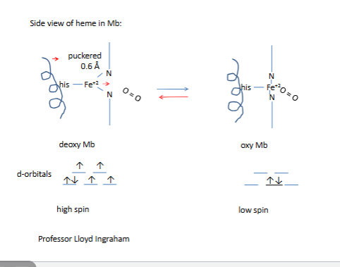 <p>all bottom arrows are illed</p>