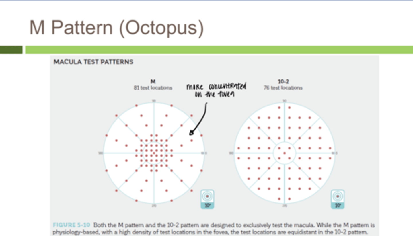 <p>M Pattern on Octopus (Pic)</p>