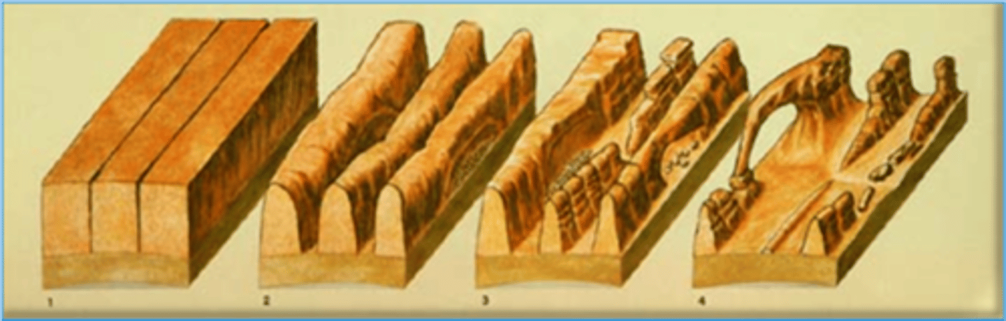 <p>Different rocks weather at different rates. Even different parts of the same rock do. This is why we have different landforms. EX: Arches national park</p>