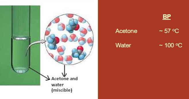 <ul><li><p>homogeneous</p></li><li><p>composed of individual components </p></li><li><p>we can use distillation if they have different boiling points</p></li><li><p>ex: acetone (57 degrees C) and water (100 degrees C)</p></li></ul><p></p>