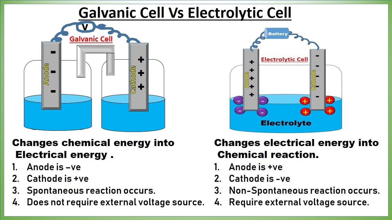 <ul><li><p>Galvanic cell is spontaneous and thus doesn't need a battery</p></li><li><p>Electrolytic is non spontaneous and thus needs a battery&nbsp;</p></li><li><p>Galvanic cell has positive electrode of the cathode and negative electrode of the anode</p></li><li><p>Electrolytic Cell has positive electrode as the anode and the negative electrode as the cathode</p></li><li><p>Biggest difference: Galvanic = Chemical → electrical, Electrolytic = Electrical → Chemical&nbsp;</p></li><li><p>Salt bridge and two different chambers in voltaic V</p></li><li><p>No salt bridge and connection to battery with one chamber for electrolytic </p></li></ul><p></p>
