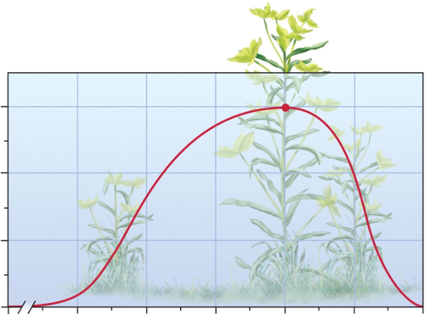 <p>What plays a significant role on the phenotype of genes?</p>