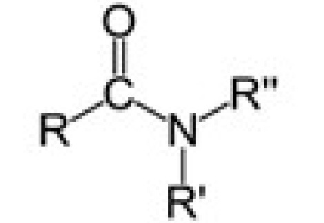 <p>amide (double bonded oxygen and NH2)</p><p>-amide</p>