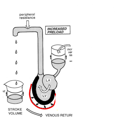 <p>What does this represent</p>