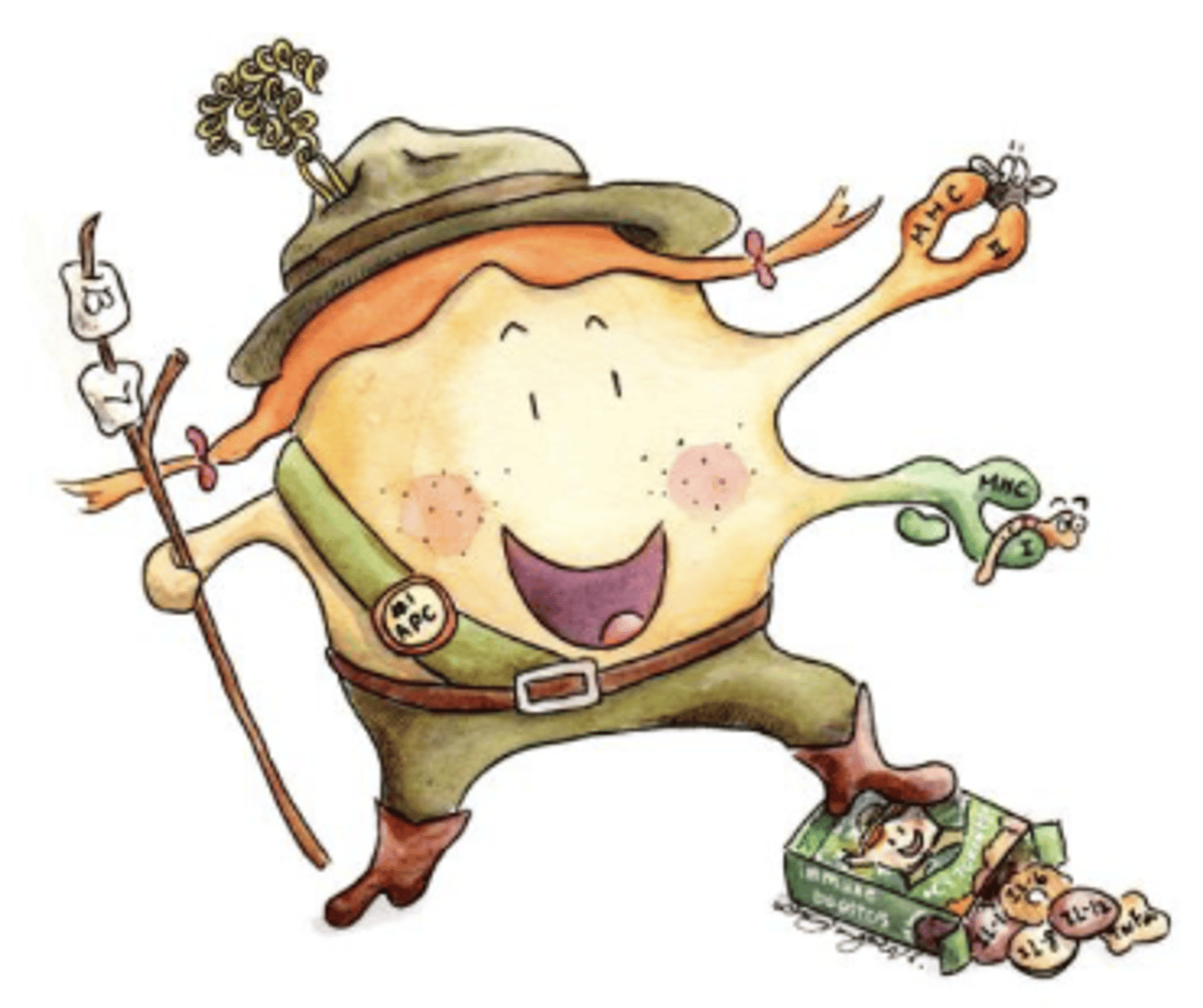 <p>Present antigens to T cells</p>