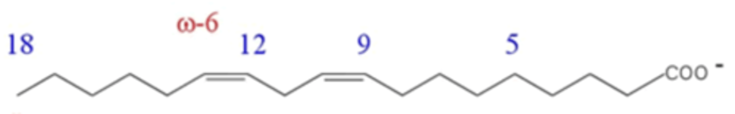 <p>What is the common name of this fatty acid?</p>