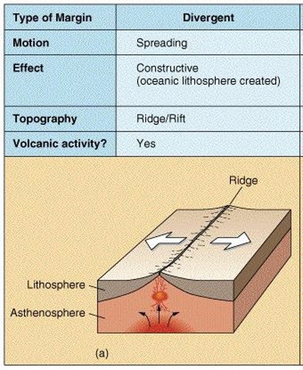 <p>Where tectonic plates move apart.</p>