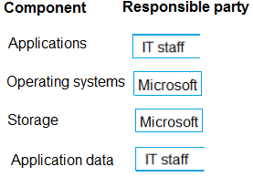 <p>Applications - IT Staff<br>Operating Systems - Microsoft<br>Storage - Microsoft<br>Application Data - IT Staff</p><p></p>