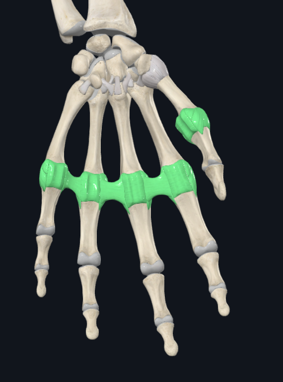 <p>What joint is this</p>