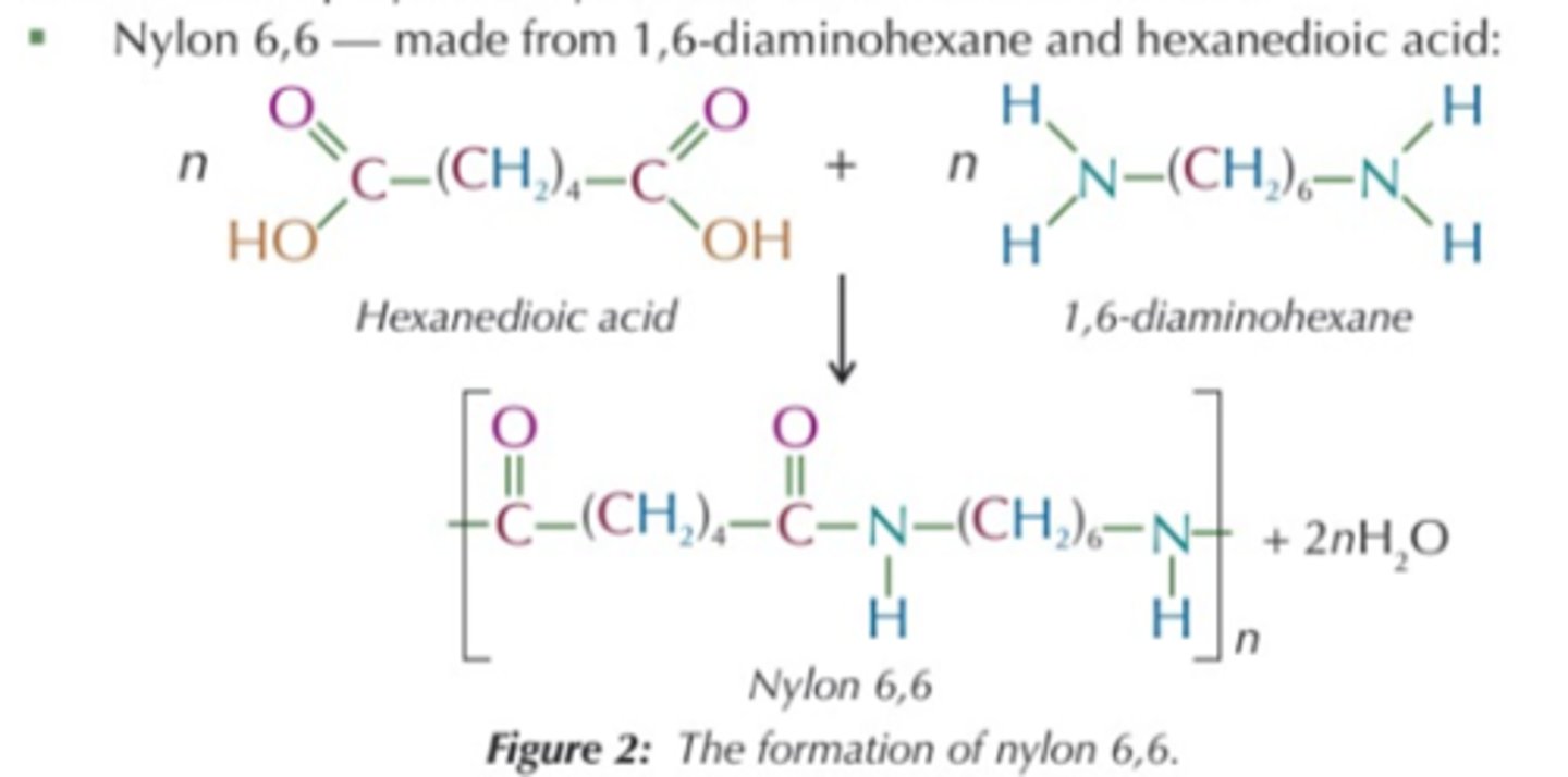 <p>nylon-x,y</p><p>x = number of carbons in the diamine</p><p>y = number of carbons in the dicarboxylic acid</p>