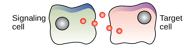 <p>What kind of chemical signaling is this?</p>