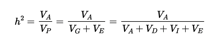 is the proportion of the total phenotypic variance of a trait attributable to the *additive effects of alleles* (the additive genetic variance). This component of variance causes offspring to resemble their parents, and it causes populations to evolve predictably in response to selection.

\
