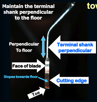 <ul><li><p>hold the instrument vertically with the toe pointing towards you</p></li><li><p>When the terminal shank of any Gracey curette is held perpendicular to the floor, then the cutting-edge slopes towards the floor.</p></li></ul><p></p>