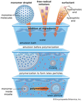 <ul><li><p><span>Starts with an emulsion of water, monomer and surfactant</span></p></li><li><p><span>You get small particles of polymers like nanoparticles</span></p></li><li><p><span>Most common type is oil-in-water emulsion in which droplets of monomer (the oil) are emulsified (using surfactant) in water</span></p></li><li><p><span>Involves the addition of a <strong>hydrophobic monomer, a slightly soluble or insoluble in water initiator</strong> and a surfactant (emulsifier) to a reactor containing water.</span></p></li><li><p><span>Emulsion polymerization results in the formation of polymer beads or rods, depending upon the reaction conditions and the surfactant used.</span></p></li><li><p><span>Used when you have a hydrophobic polymer</span></p></li></ul><p></p>