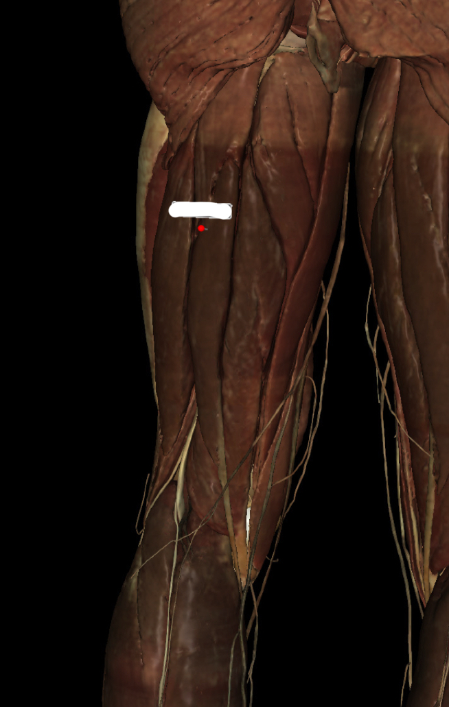 <p>Identify the Structure</p>