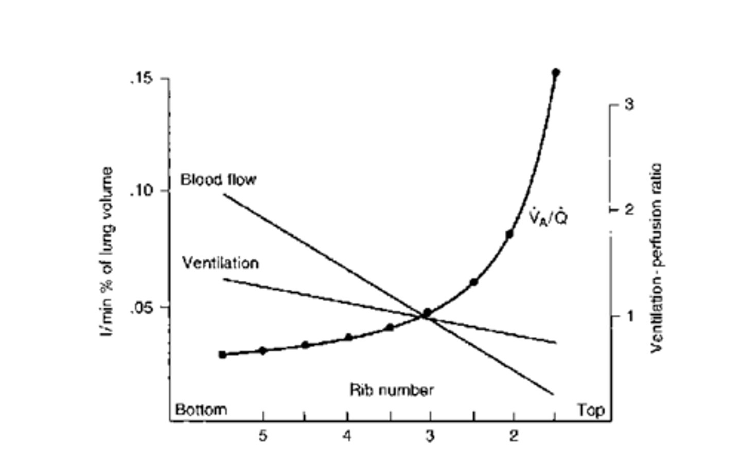 <p>0.6</p>