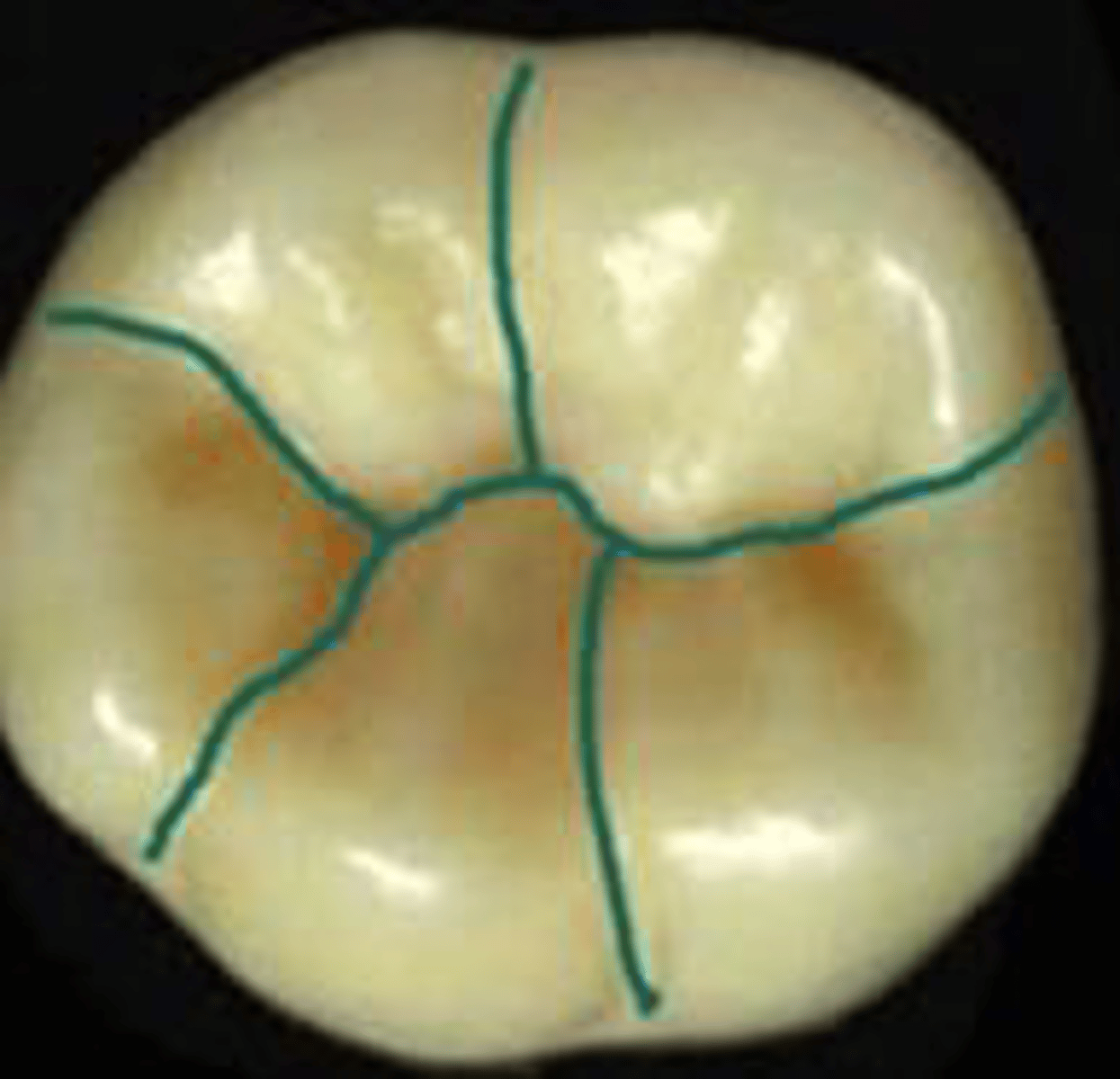 <p>what do the lines represent?</p>
