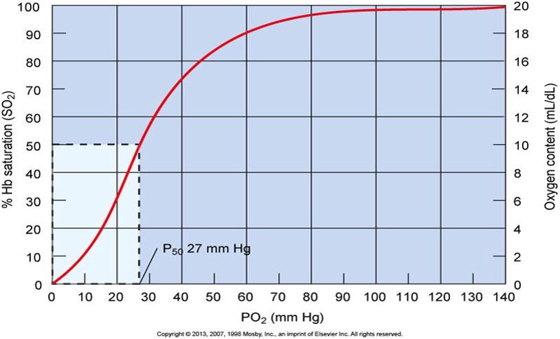<p>PO2 can fall from 60 to 100 torr and Hb will still be 90% saturated with O2. </p><ul><li><p>excellent safety zone </p></li></ul><p></p>