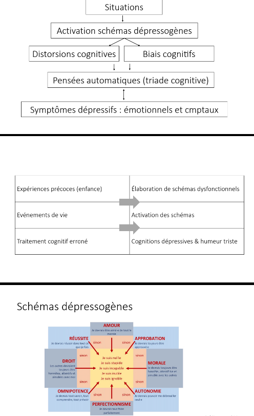 L’humeur dépressive est liée à des schémas dépressogènes stockés dans la mémoire à long terme, qui entrainent l’activation de processus cognitifs et attitudes dysfonctionnelles en réponse aux situations.

Processus cognitifs dysfonctionnels :
- Biais d’attention, de mémoire, d’interprétation (ex : blocage des souvenirs positifs)
- Distorsions cognitives (surgénéralisation, inférence arbitraire)

Beck postule l’existence d’une triade de croyances dépressives : 
• Sur soi : « je suis un raté »
• Sur l’environnement : « rien ne va plus de nos jours, tout va mal»
• Sur l’avenir : « ça ne changera jamais »