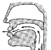 <ul><li><p>Velum is raised</p></li><li><p>Air flows through mouth only</p></li></ul><p></p>