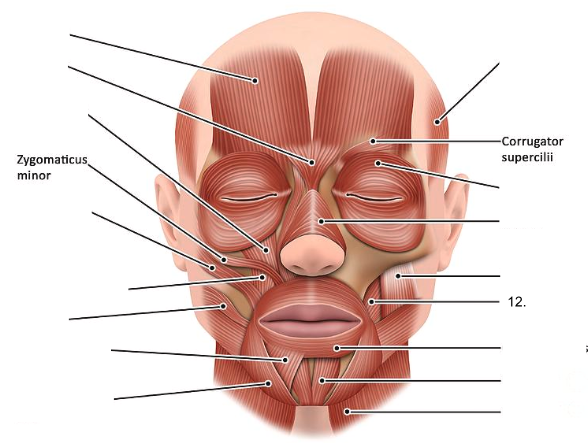 <ol start="12"><li><p></p></li></ol><p></p>